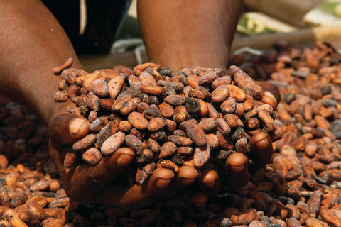 Hvad betyder Fairtrade konkret?