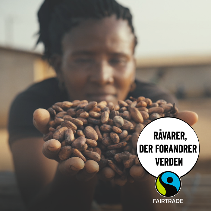 Fairtrade kakaobonde med kakao