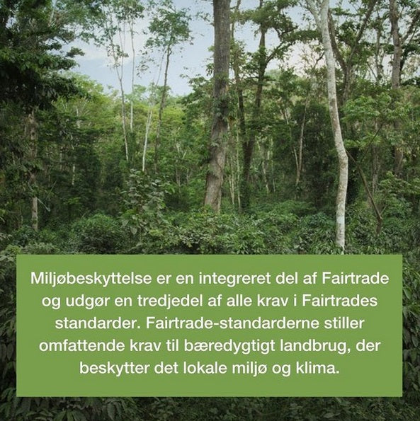Fairtrade miljøbeskyttelse skov